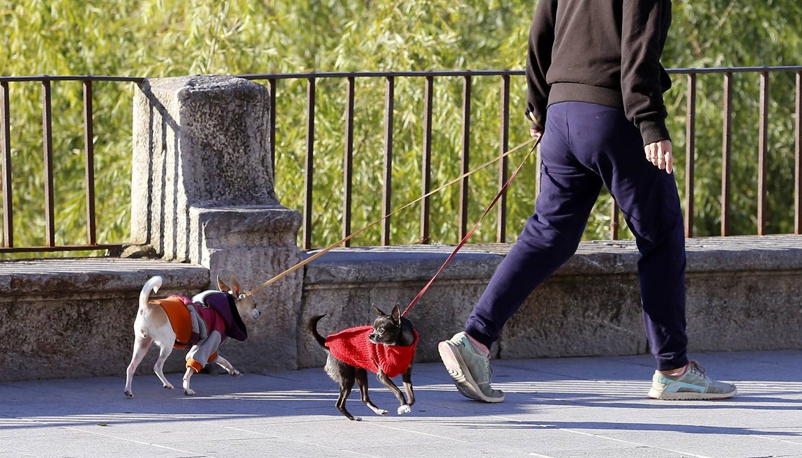 El frío que están pasando los cordobeses, en imágenes