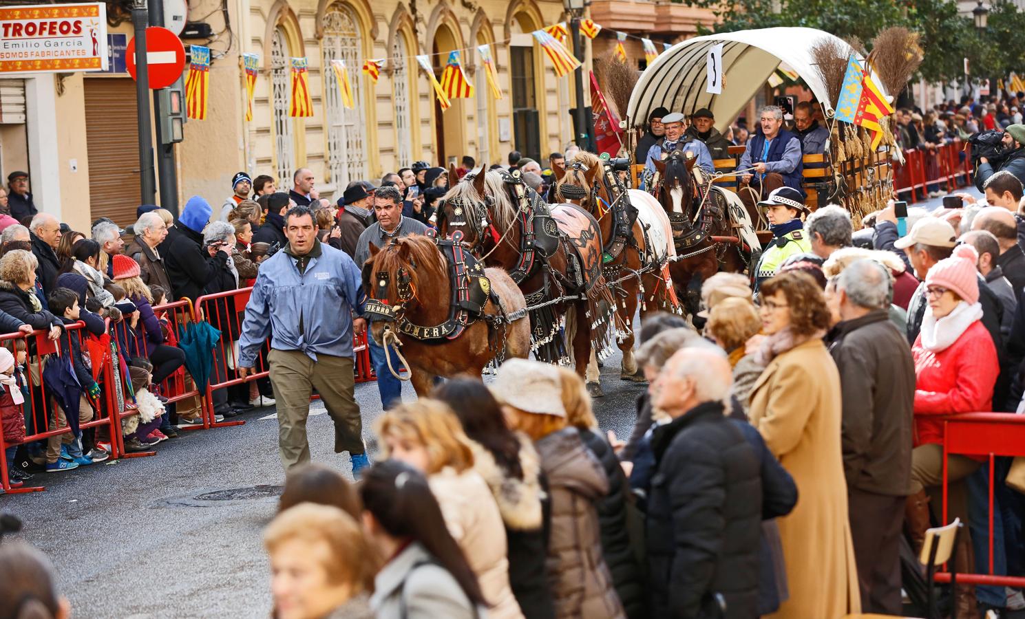 Bendición de animales por San Antón en Valencia. 