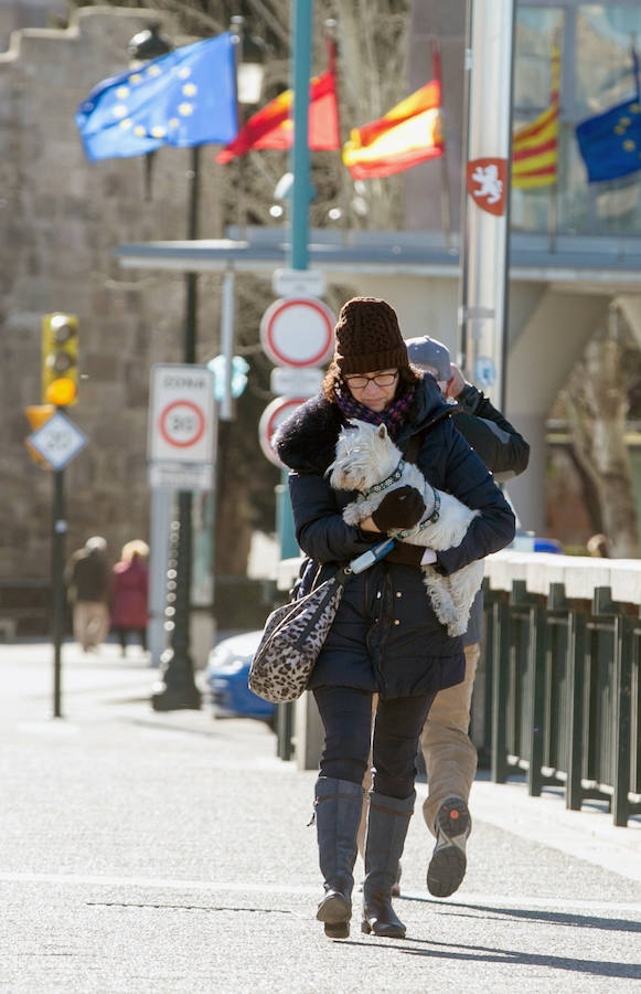 Rachas de viento de 100 km/hora convierten la ola de frío en una pesadilla
