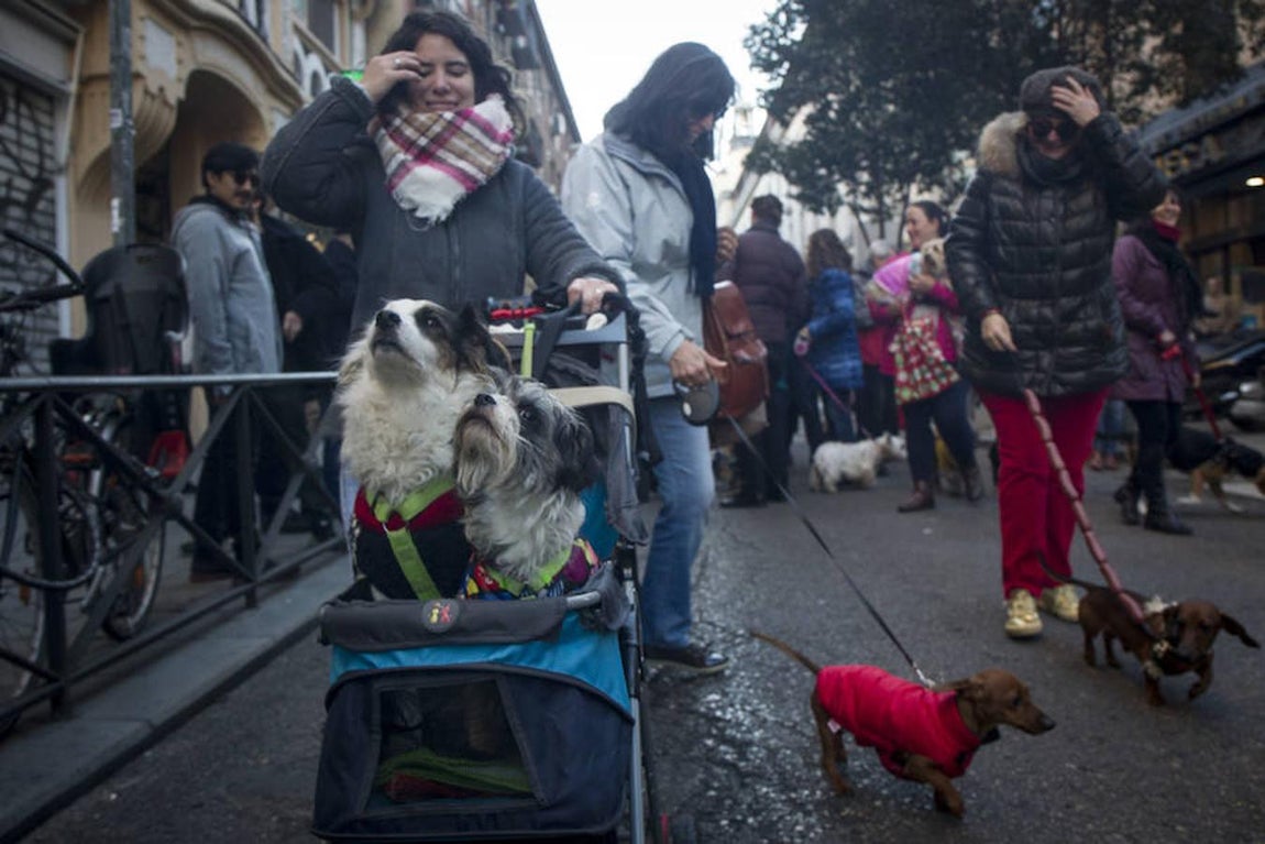 2. Vueltas de San Antón en el barrio madrileño de Chueca
