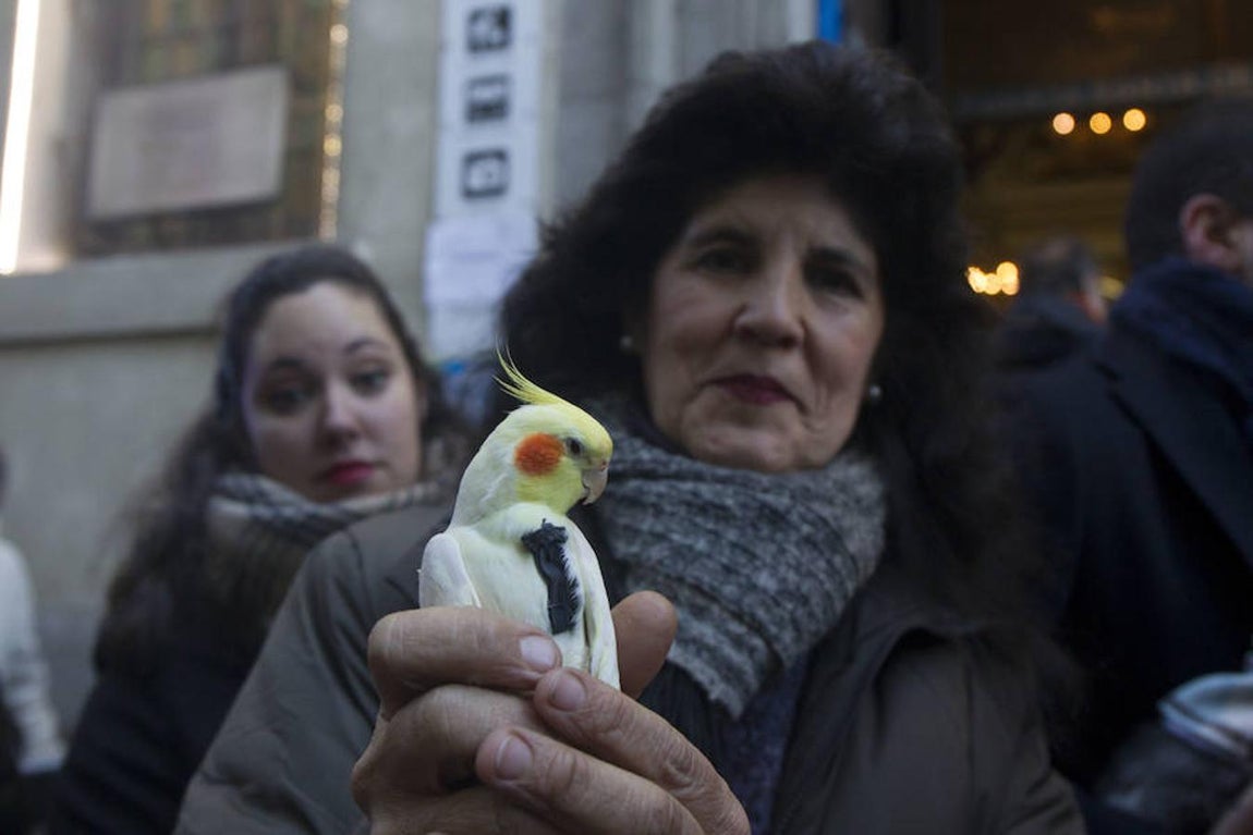 8. Vueltas de San Antón en el barrio madrileño de Chueca