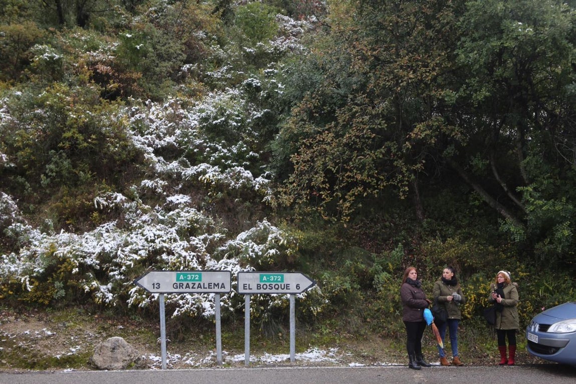 La nieve cubre de un manto blanco la Sierra de Cádiz
