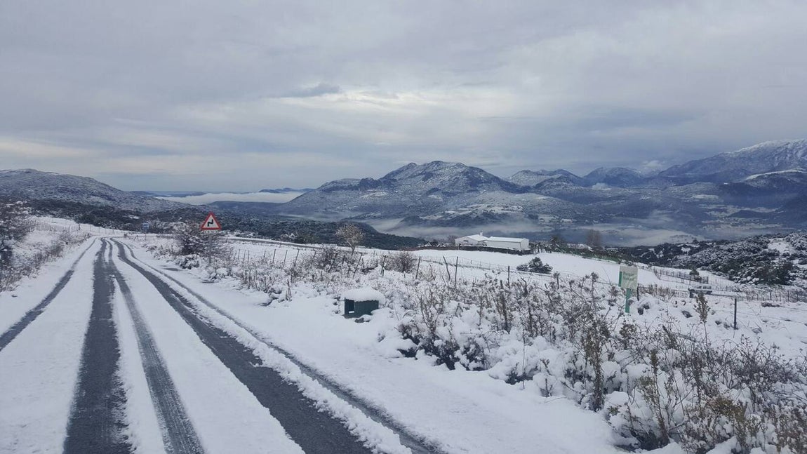 La nieve cubre de un manto blanco la Sierra de Cádiz