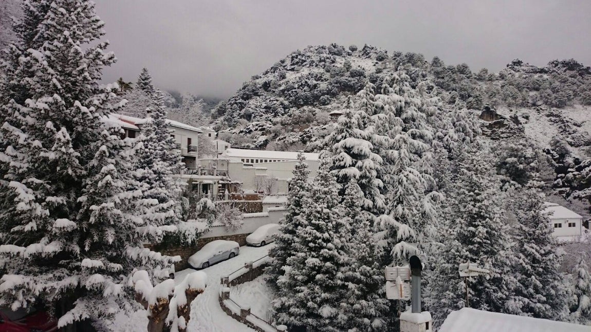 La nieve cubre de un manto blanco la Sierra de Cádiz