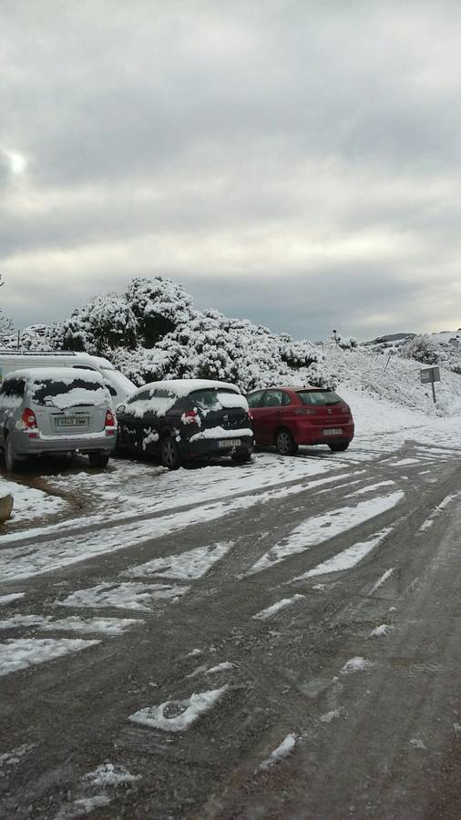 La nieve cubre de un manto blanco la Sierra de Cádiz
