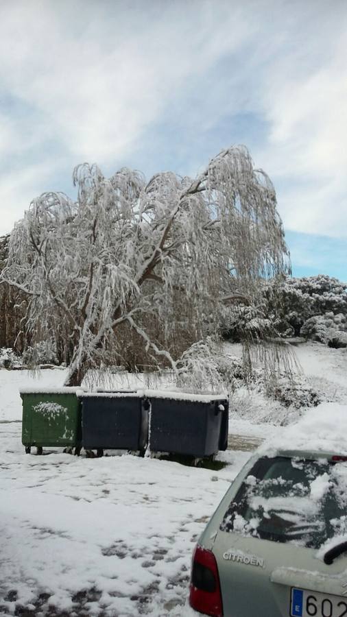La nieve cubre de un manto blanco la Sierra de Cádiz