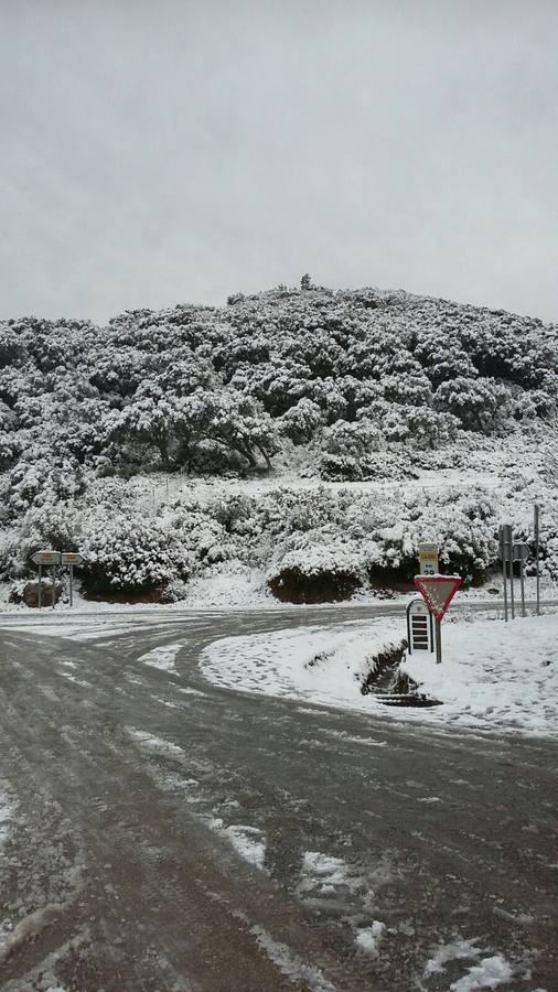 La nieve cubre de un manto blanco la Sierra de Cádiz