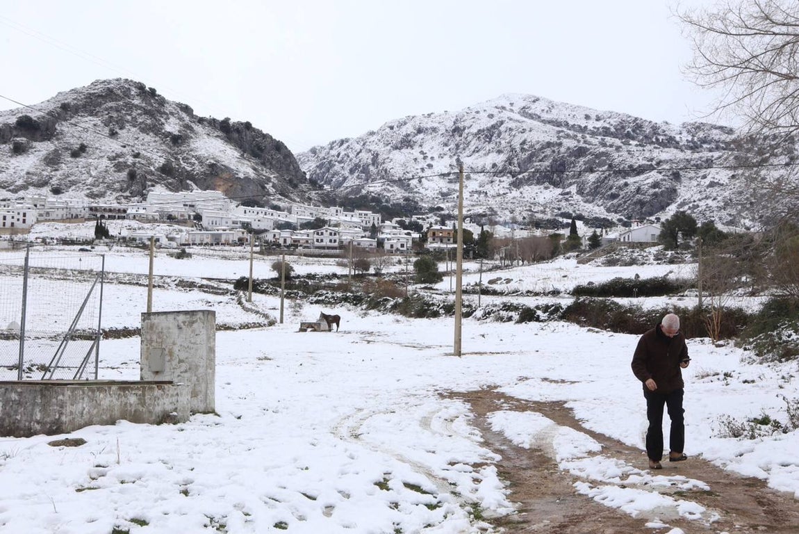 La nieve cubre de un manto blanco la Sierra de Cádiz
