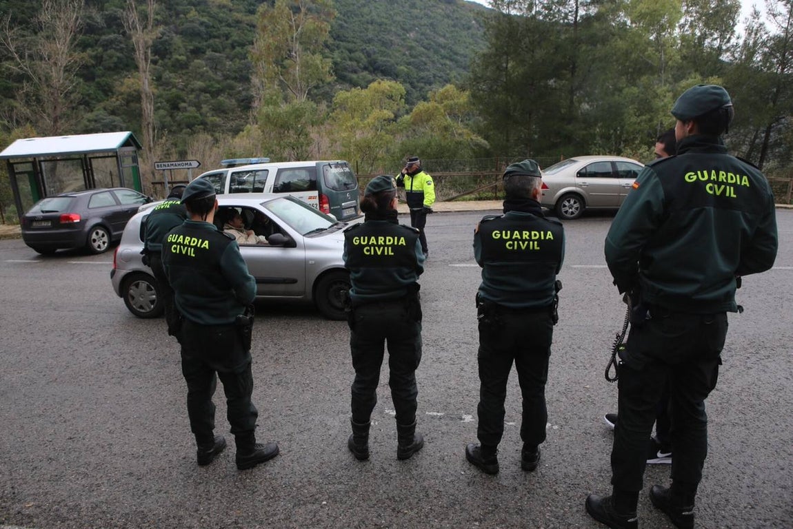 La nieve cubre de un manto blanco la Sierra de Cádiz