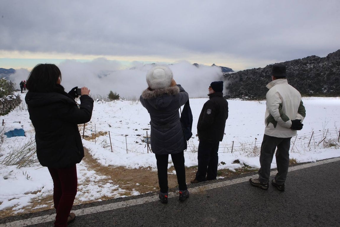 La nieve cubre de un manto blanco la Sierra de Cádiz