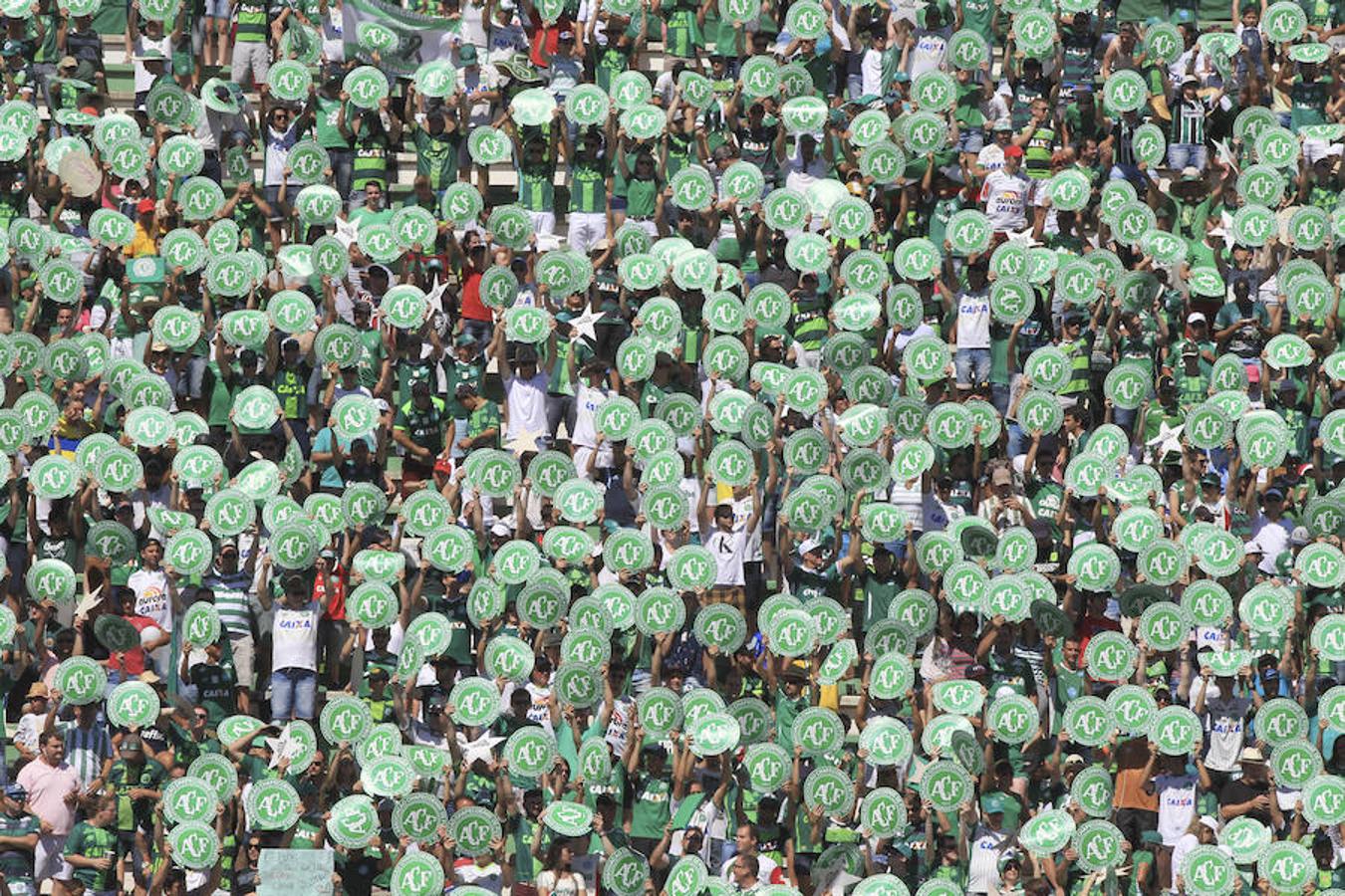 Emoción y lágrimas de los supervivientes en el primer partido del Chapecoense tras la tragedia