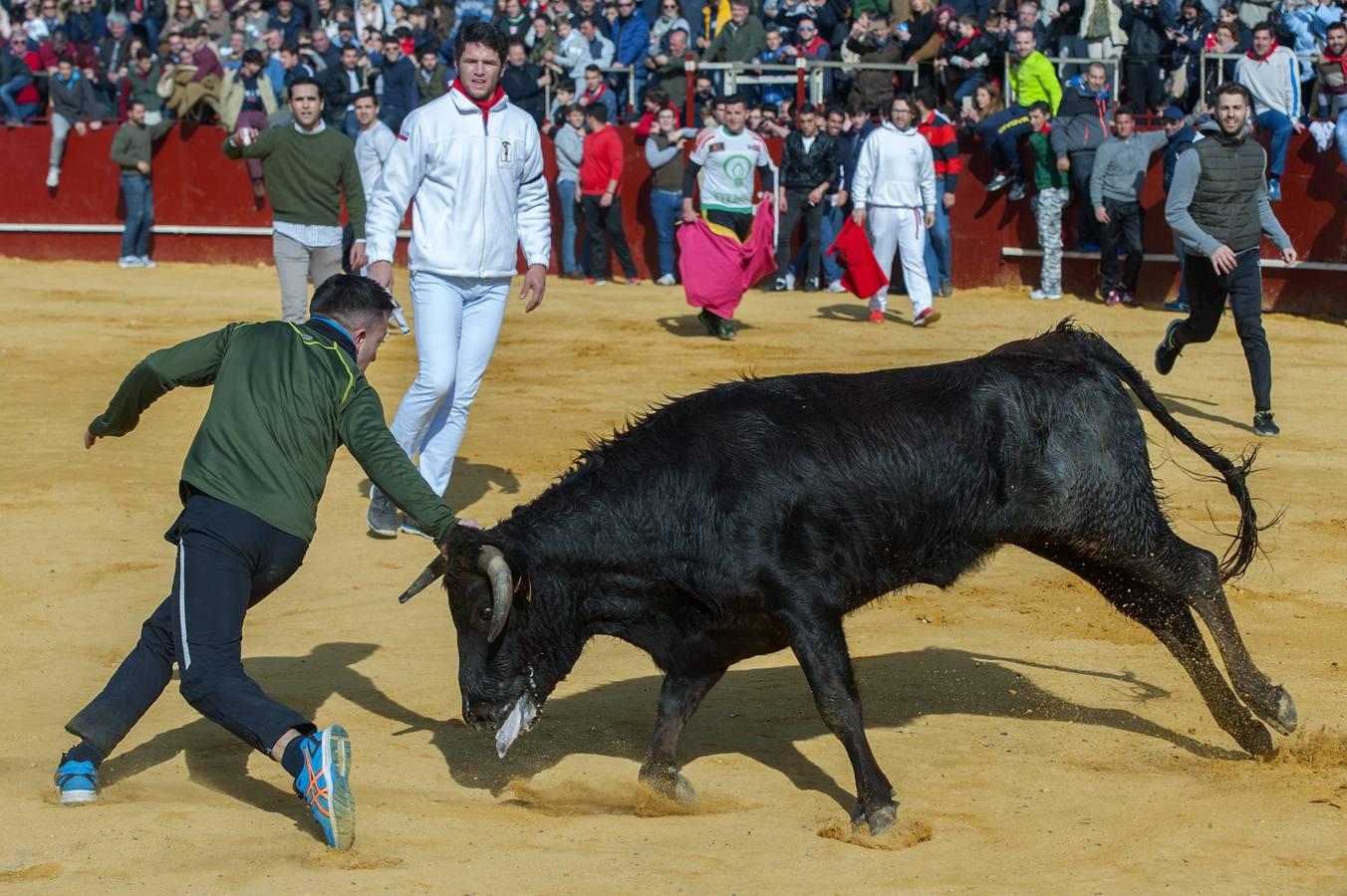 Chupinazo en La Puebla del Río en honor de San Sebastián