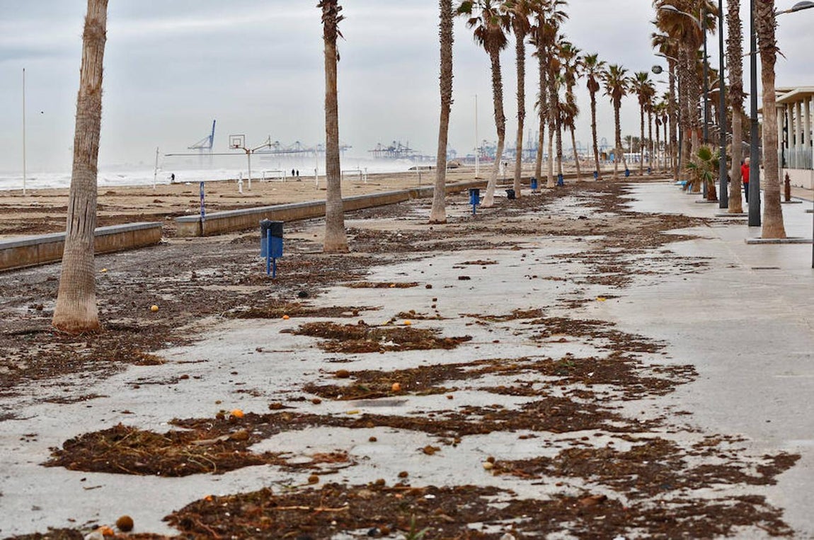 Imagen de los efectos del temporal en la playa de la Patacona (Valencia)