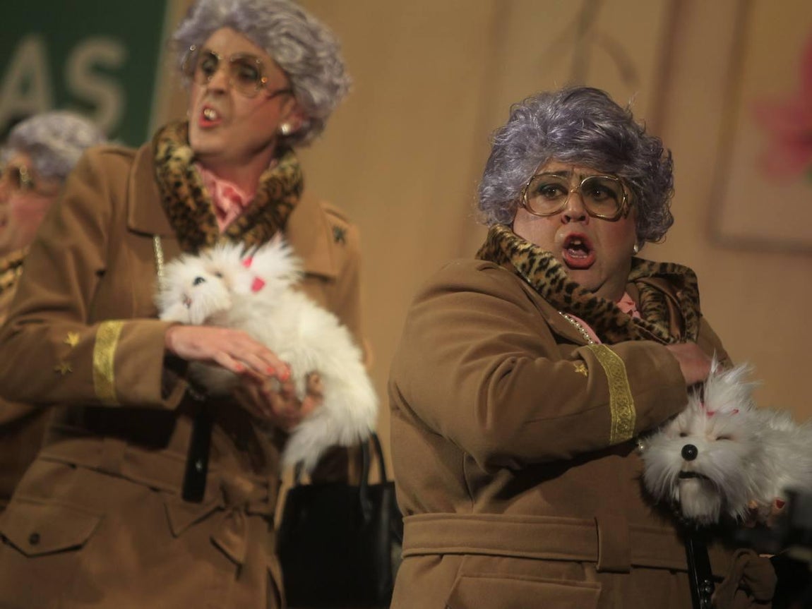 Fotos: Chirigota Mi suegra como ya dije