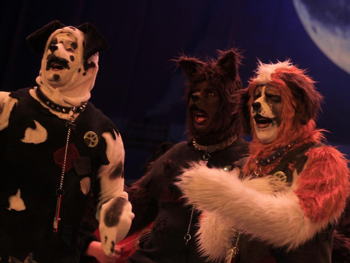 Fotos: Comparsa Los incondicionales. COAC 2017