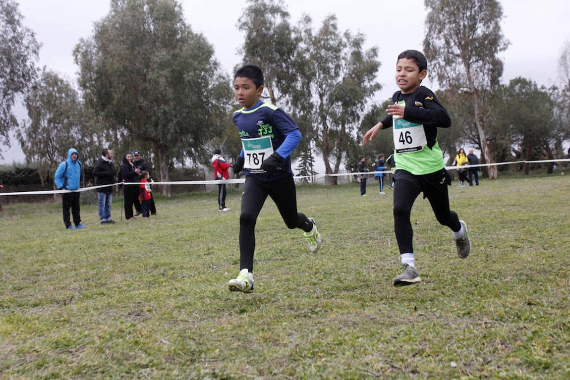 Unos 700 atletas participan en el Cross de Sonseca