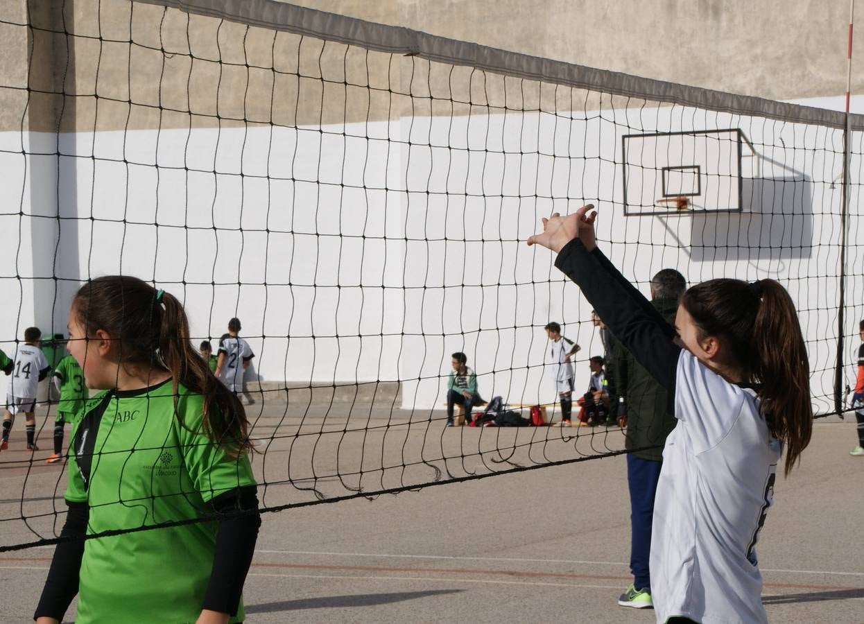 Vóley: Raminundo Lulio vs Santa Ana y San Rafael