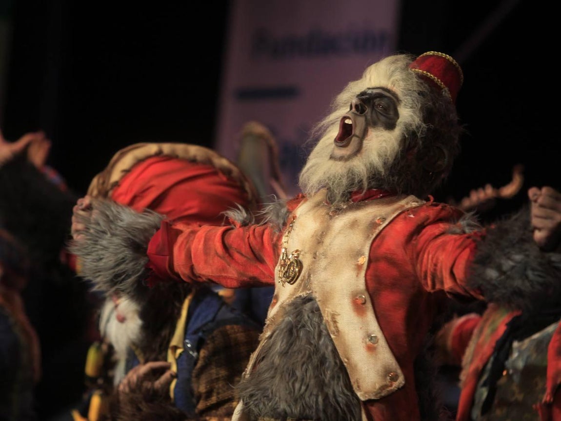 Fotos: Comparsa Los irracionales