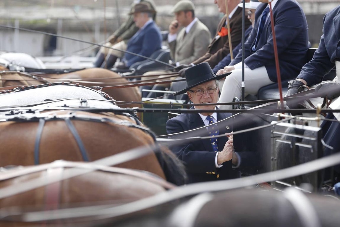 Las mejores imágenes del paseo a caballo por el Día de Andalucía en Córdoba