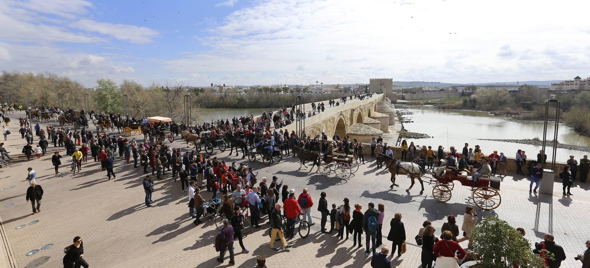 Las mejores imágenes del paseo a caballo por el Día de Andalucía en Córdoba