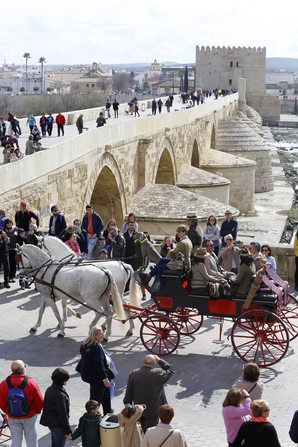 Las mejores imágenes del paseo a caballo por el Día de Andalucía en Córdoba
