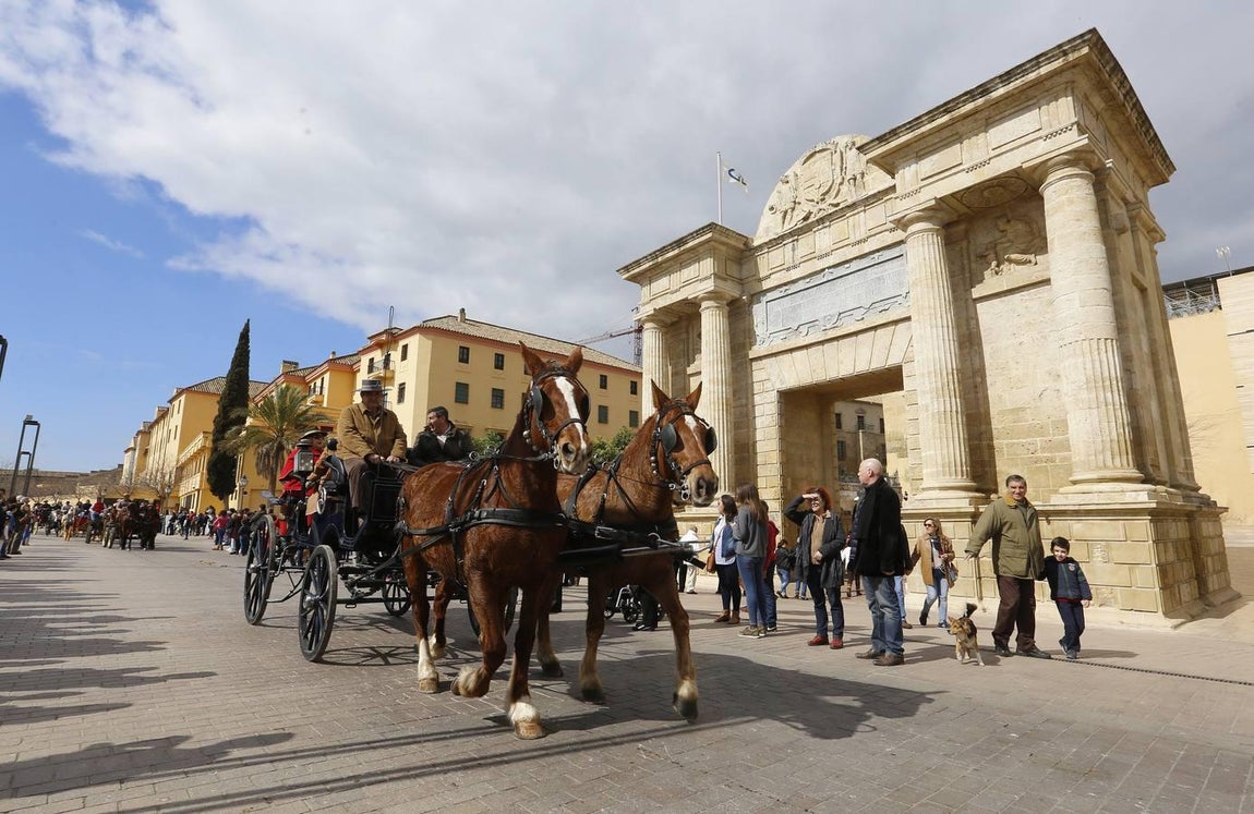 Las mejores imágenes del paseo a caballo por el Día de Andalucía en Córdoba