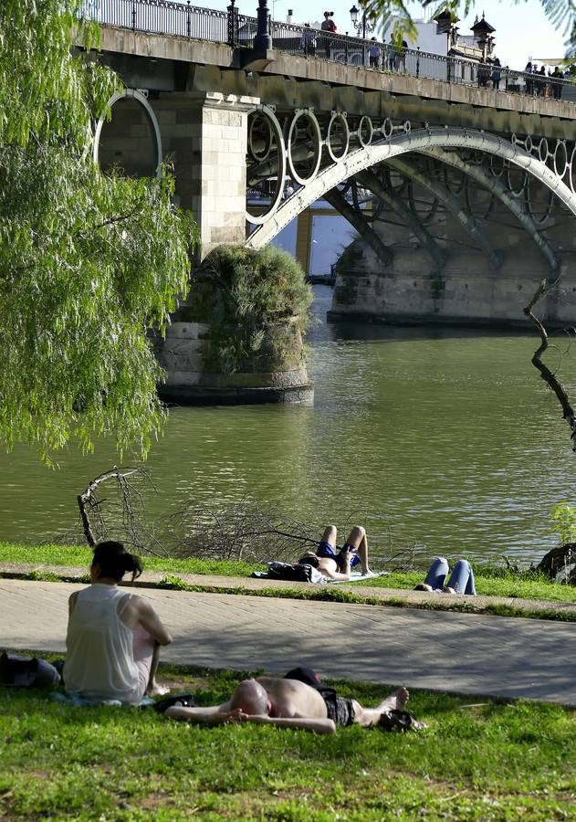 «Primaverano» en pleno mes de marzo