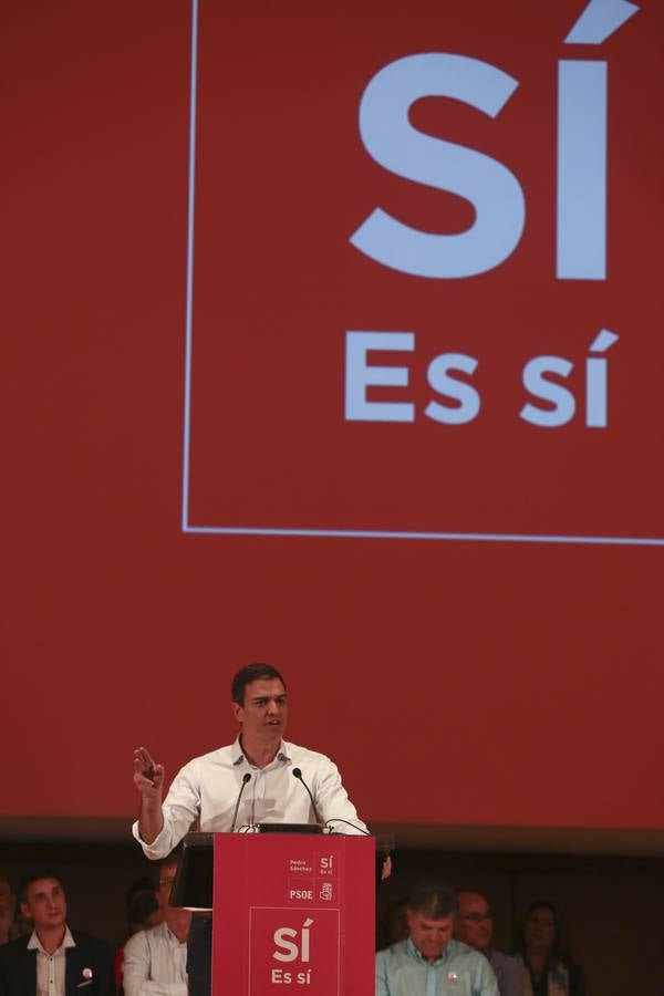 Pedro Sánchez encandila en Cádiz