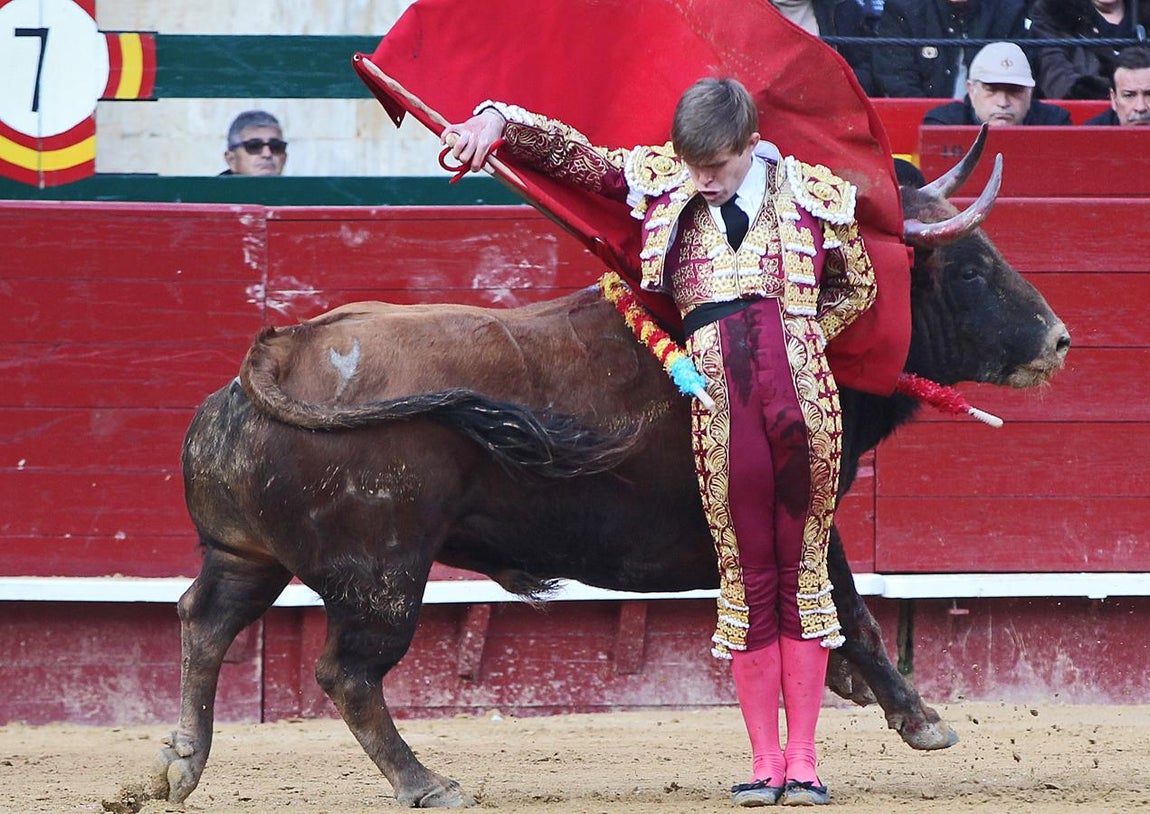 Feria de Fallas, Javier Jiménez. 