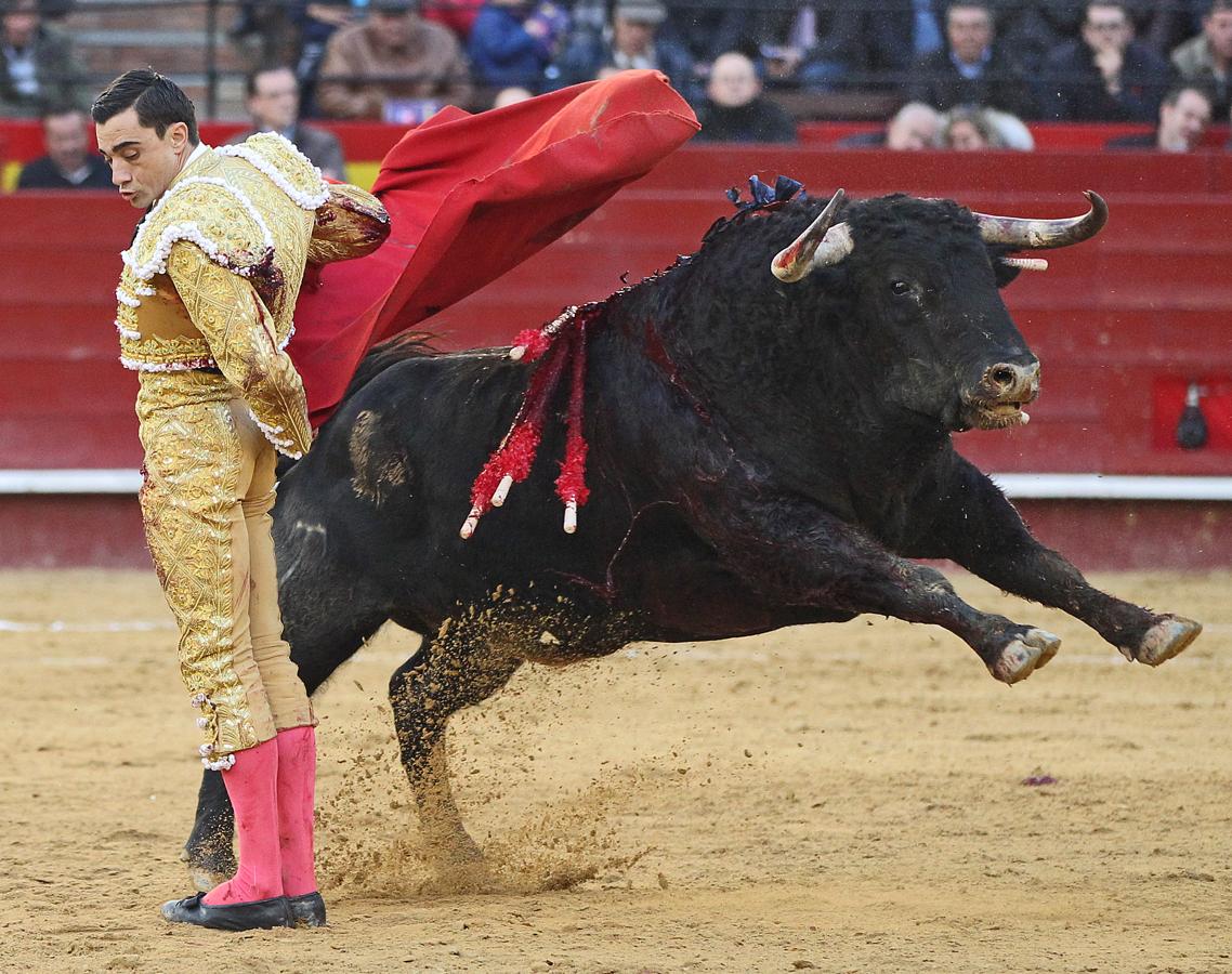 Feria de Fallas, Paco Urena. 