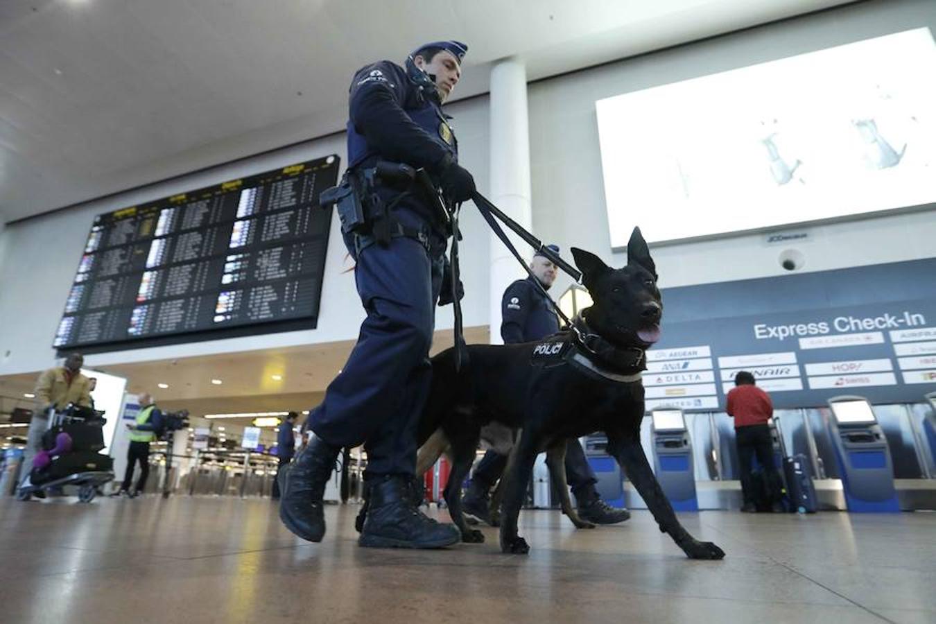 Bélgica mantiene desplegados a 1.250 militares en Bruselas para apoyar las tareas de vigilancia de la Policía, mientras el organismo que evalúa la amenaza terrorista (OCAM) mantiene la alerta en nivel 3 (de 4 posibles). 