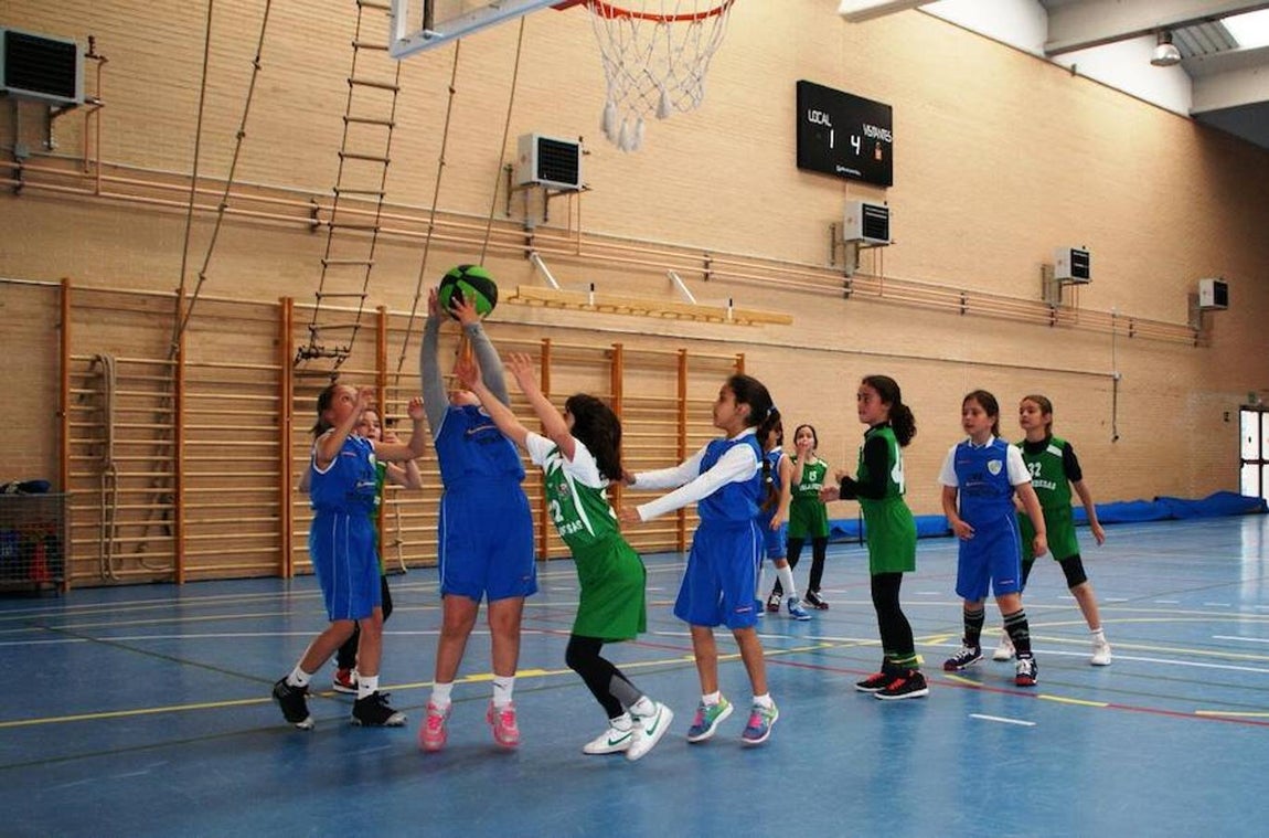 Miramadrid «B» - BVM Irlandesas «C»