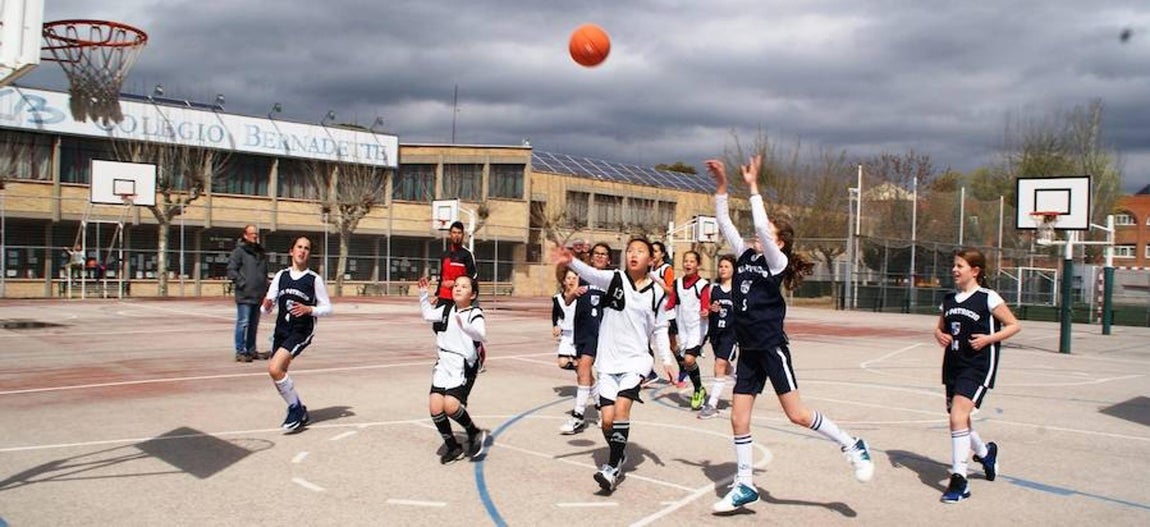 Bernadette - San Patricio