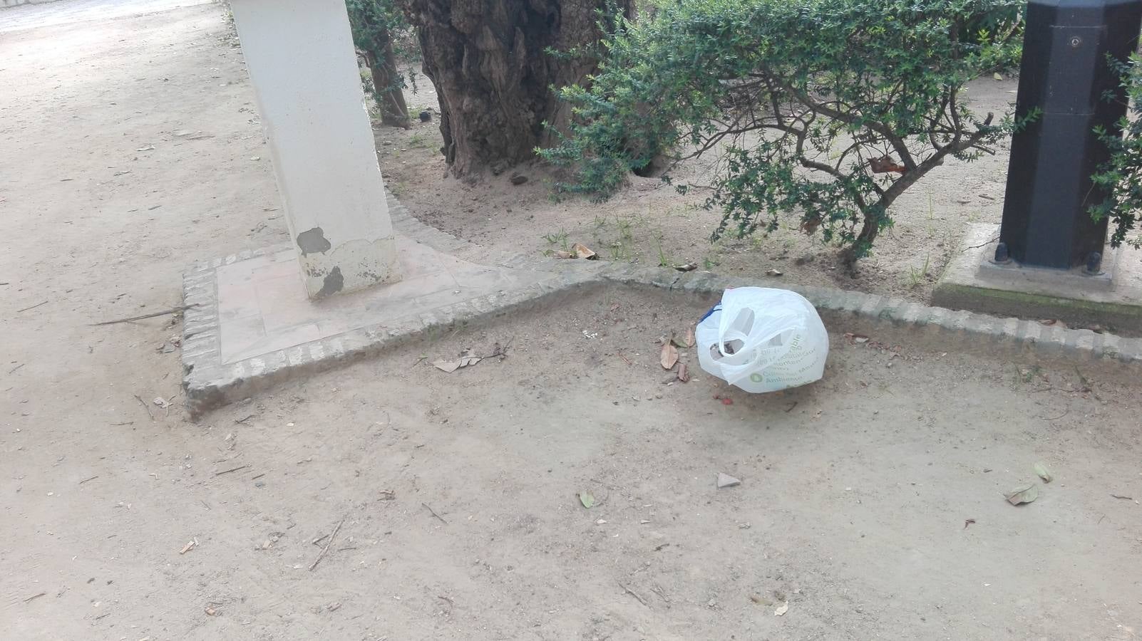 Bolsas de plásticos en el interior del parque