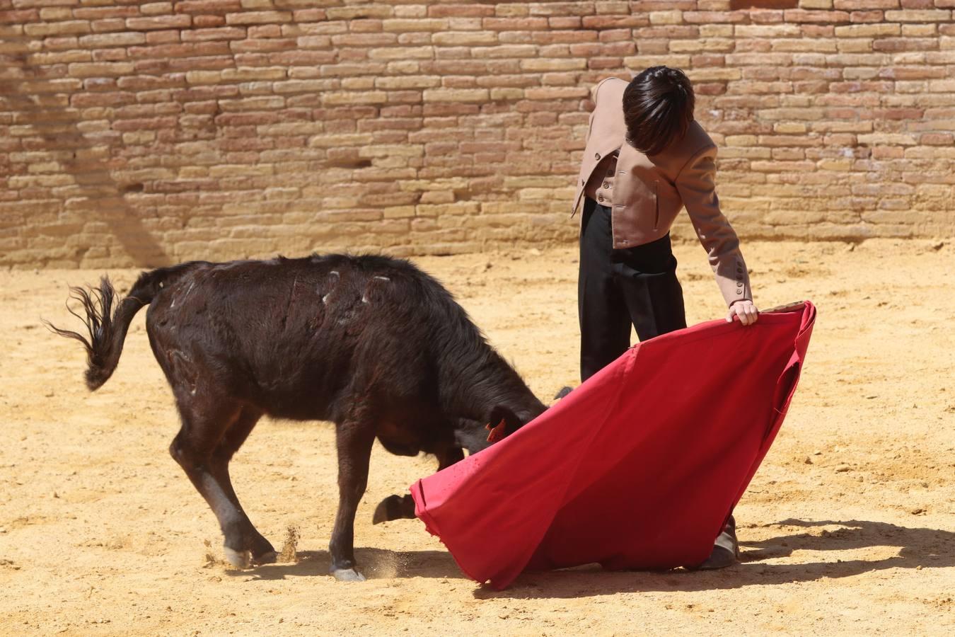 El tentadero, en imágenes