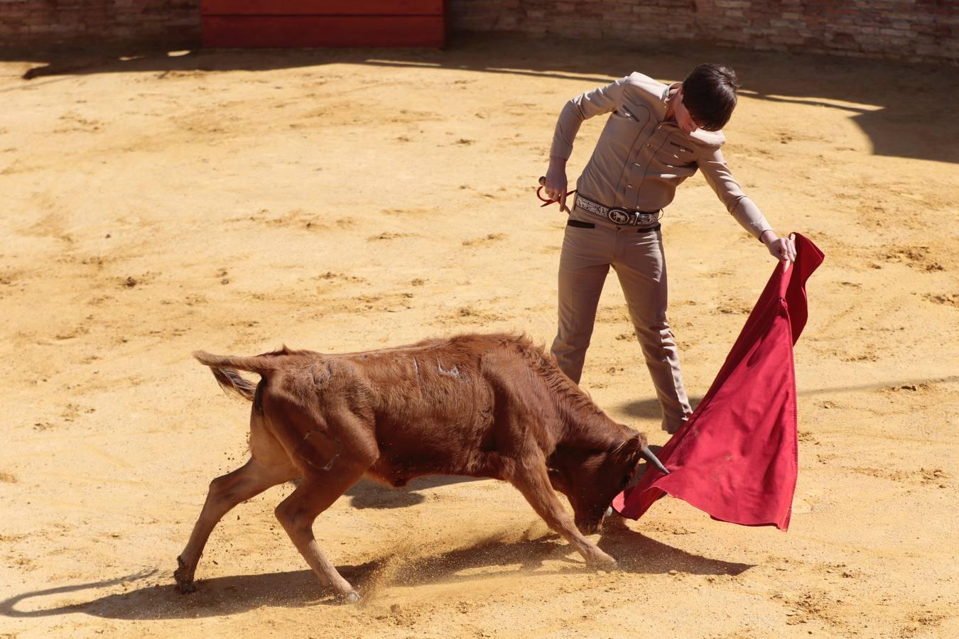 El tentadero, en imágenes