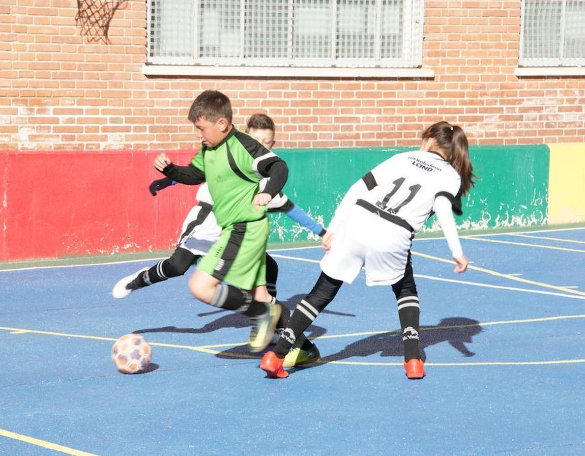 Fútsal benjamín mixto: N. S. Sagrado Corazón vs. Raimundo Lulio