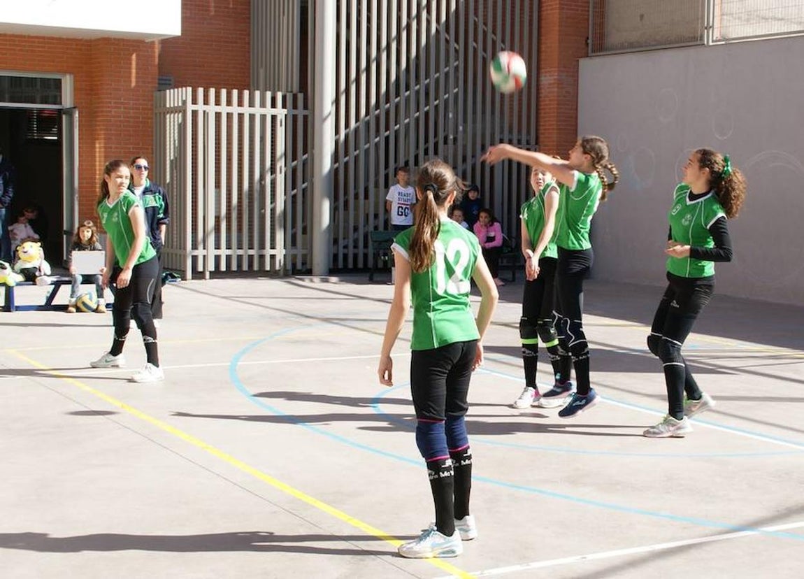 Voleibol infantil femenino: N. S. Carmen voleibol vs. Sagrada Familia Oberón