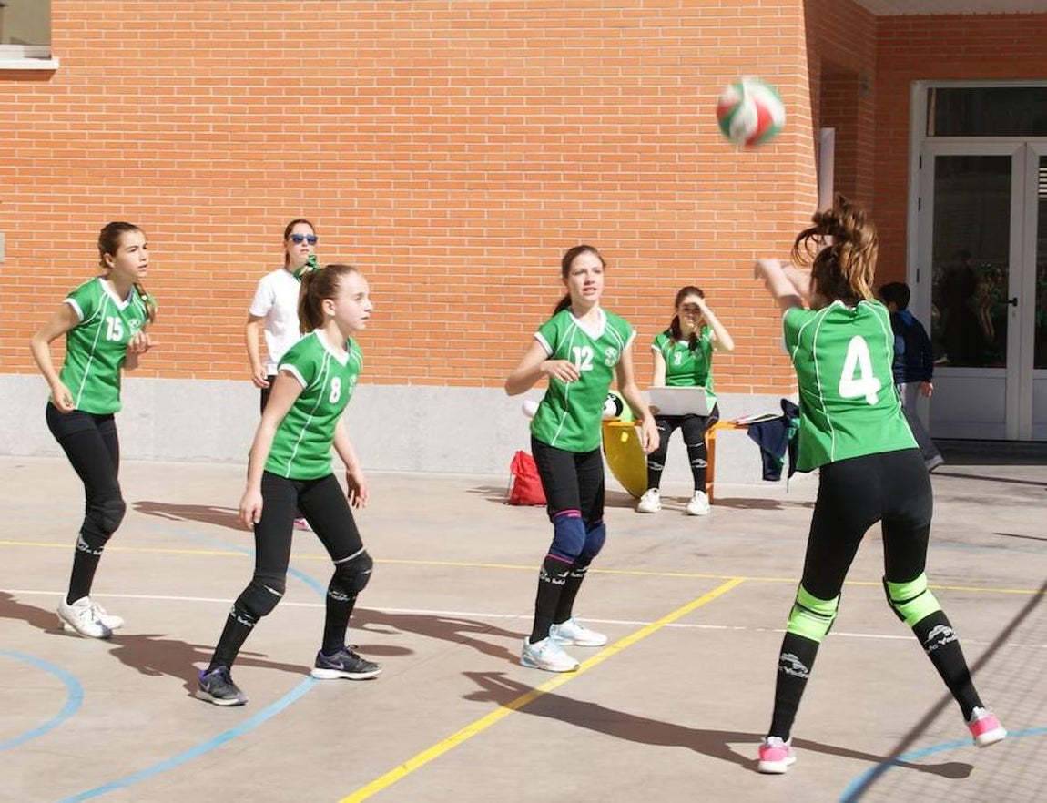 Voleibol infantil femenino: N. S. Carmen voleibol vs. Sagrada Familia Oberón