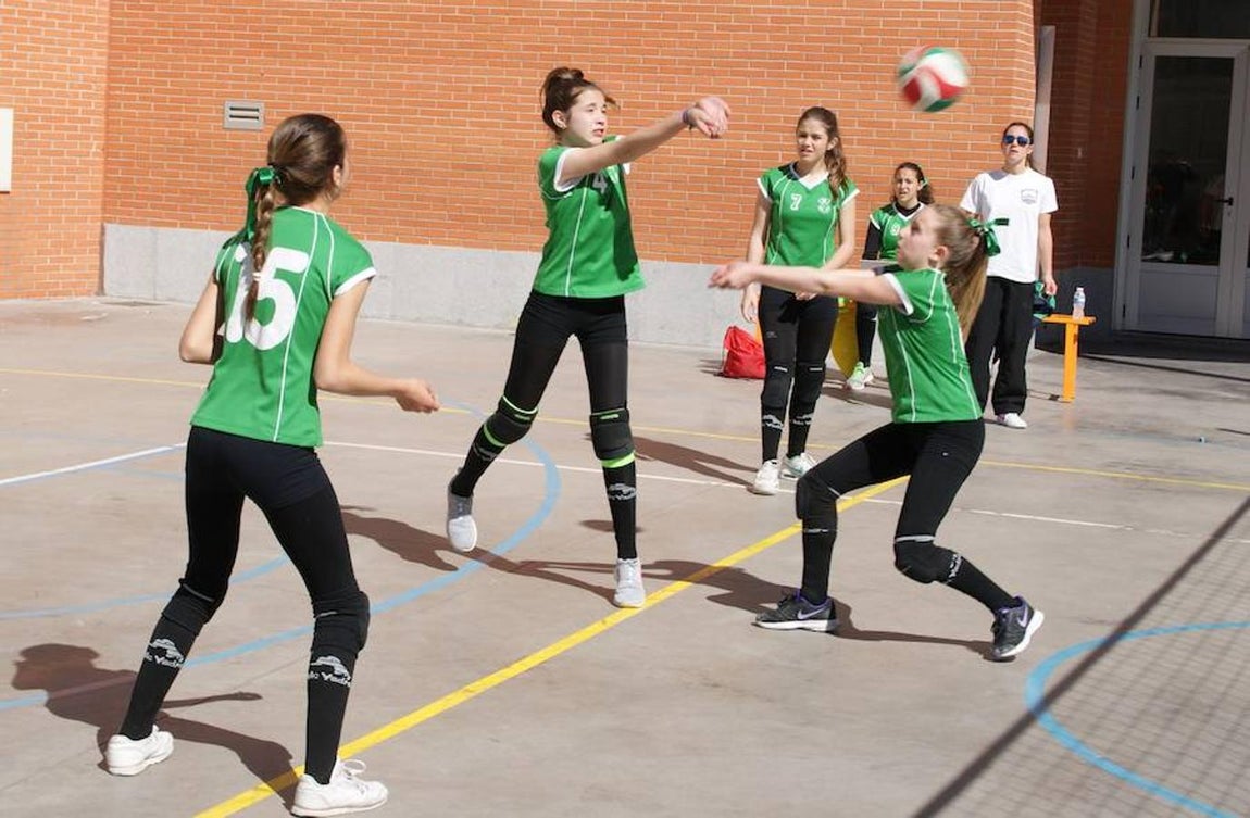 Voleibol infantil femenino: N. S. Carmen voleibol vs. Sagrada Familia Oberón