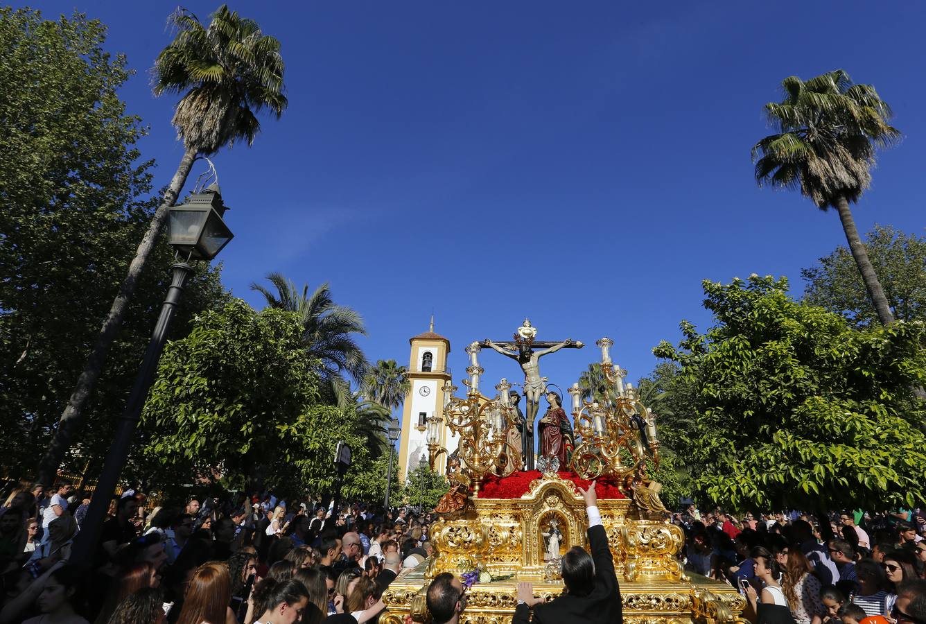 El Amor de Domingo de Ramos, en imágenes