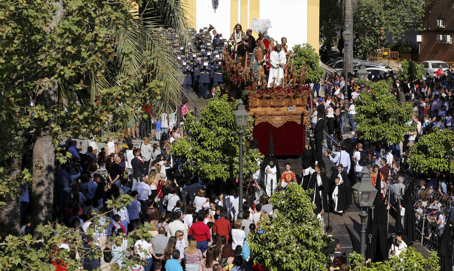 El Amor de Domingo de Ramos, en imágenes