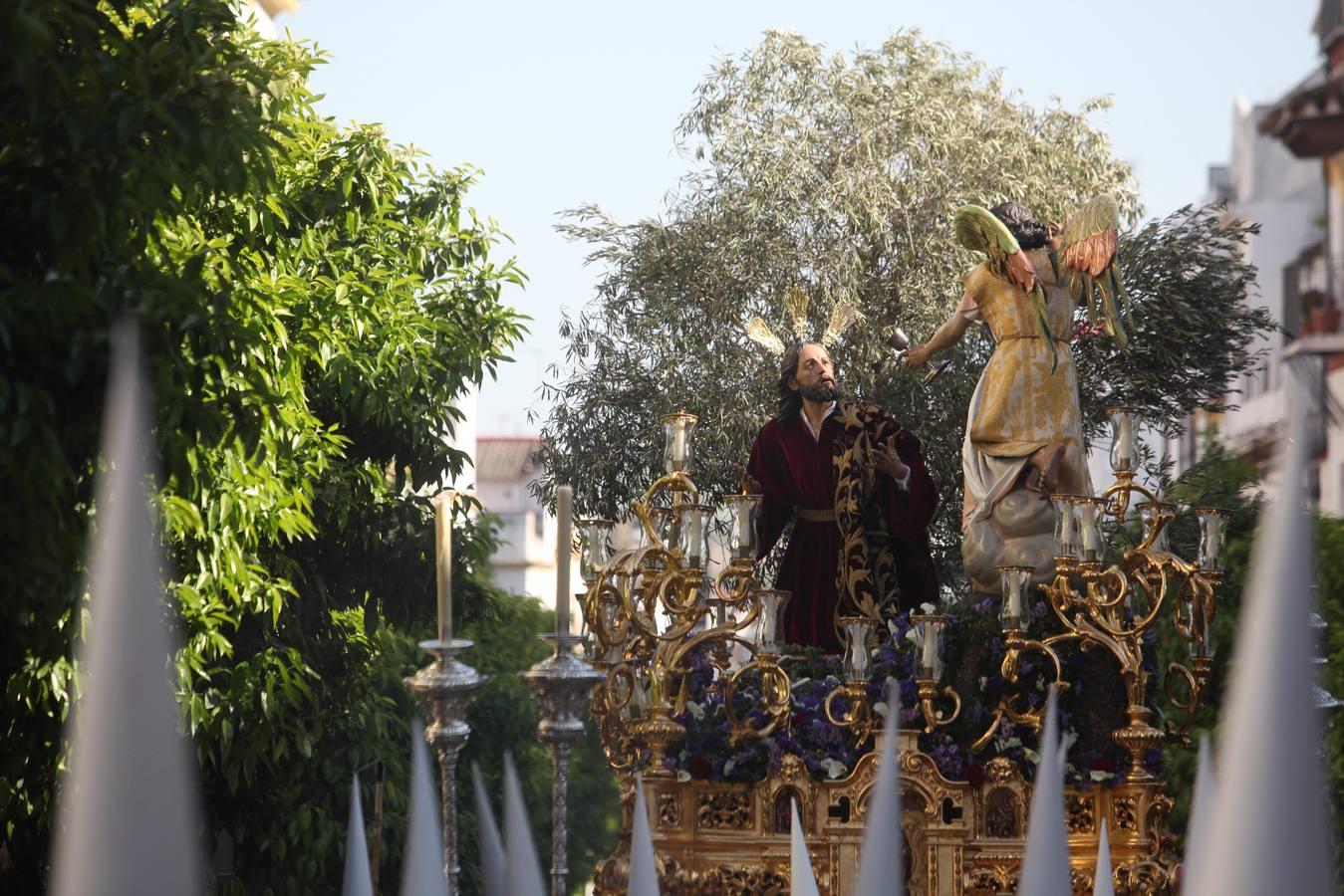 El Huerto, en imágenes