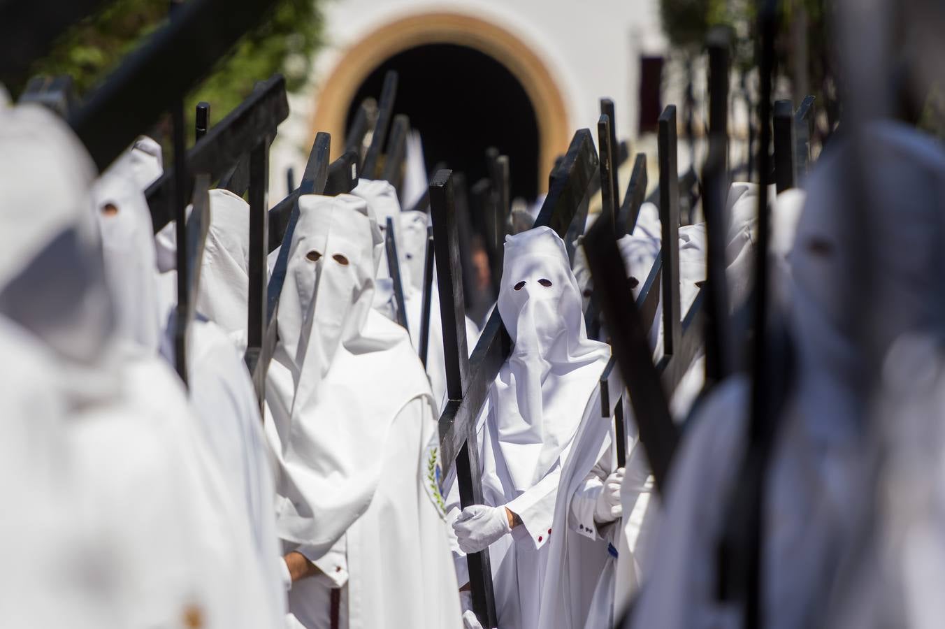 Las fotos de La Paz el Domingo de Ramos de la Semana Santa de Sevilla 2017