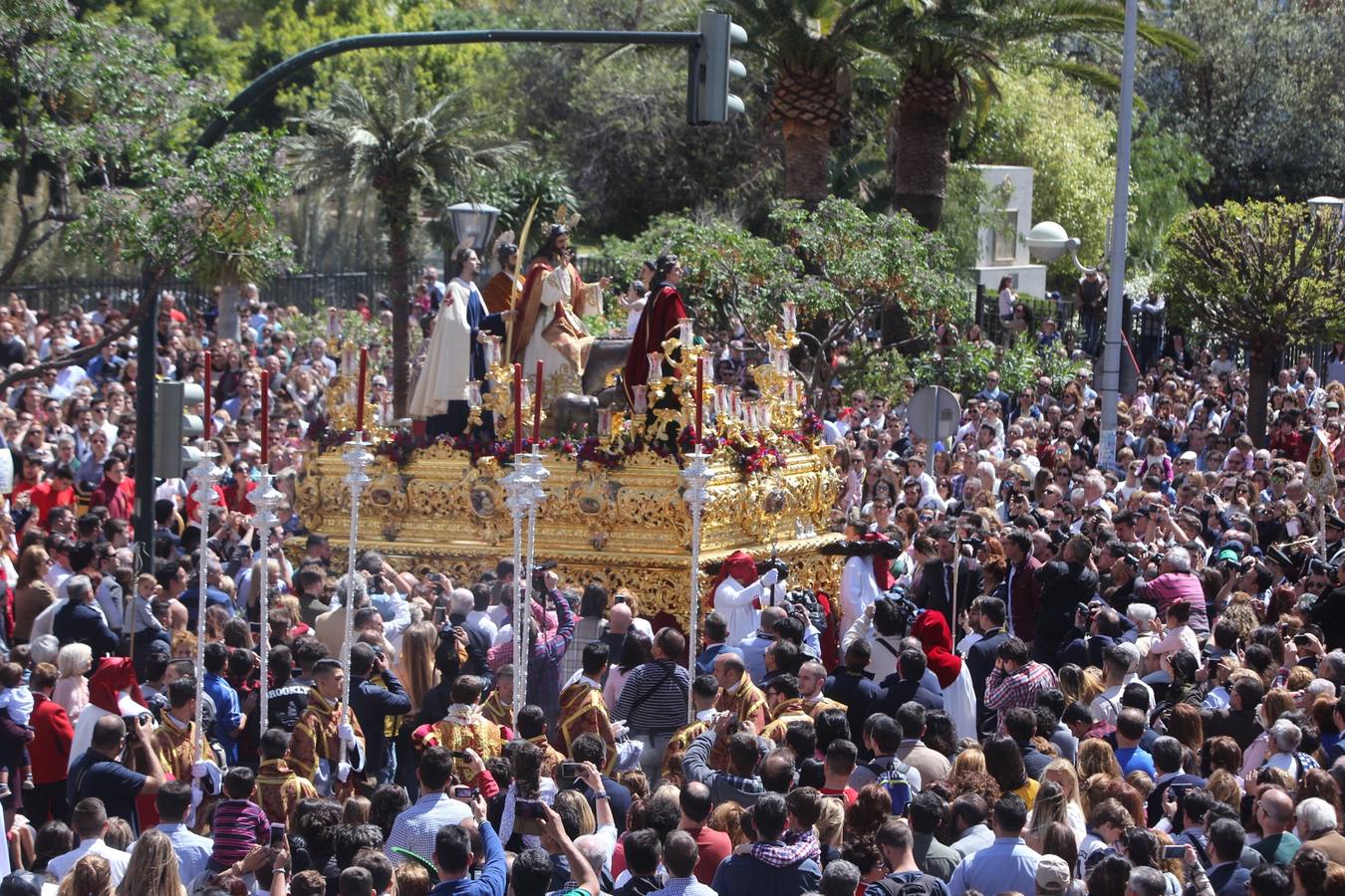 Semana Santa de Cádiz 2017. Cofradía de la Borriquita