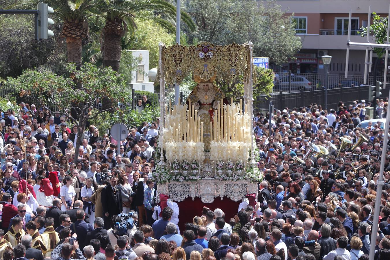 Semana Santa de Cádiz 2017. Cofradía de la Borriquita