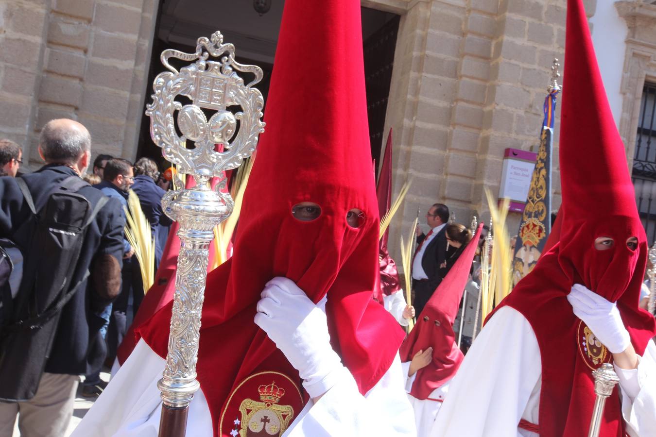 Semana Santa de Cádiz 2017. Cofradía de la Borriquita