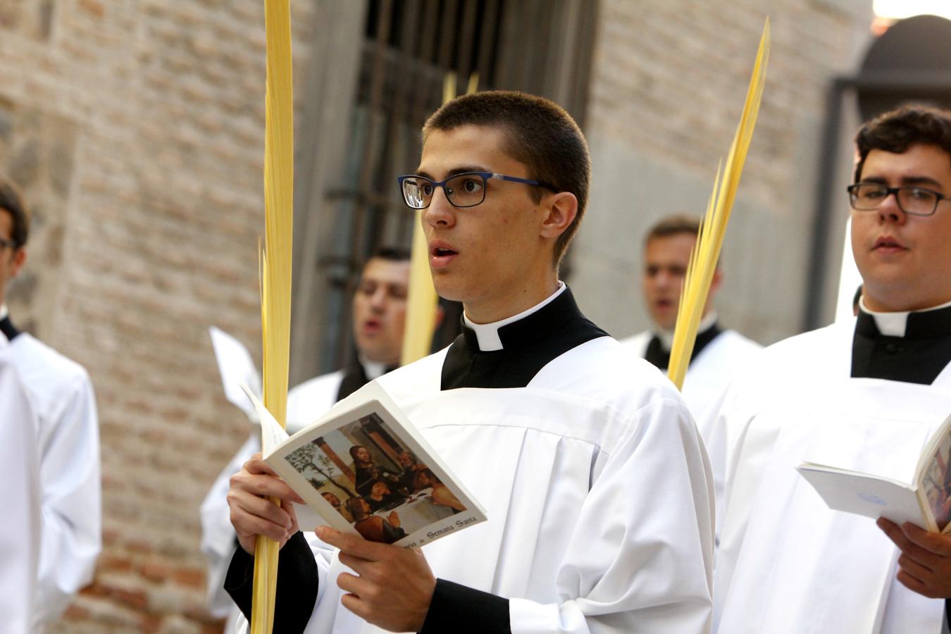 Procesión de las palmas. 