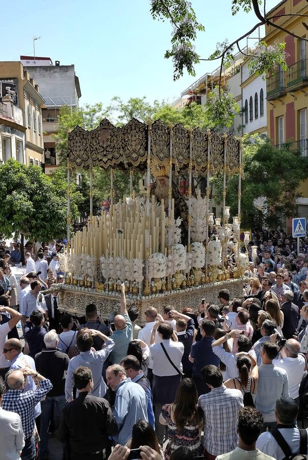 Las fotos de San Bernardo en el Miércoles Santo de la Semana Santa de Sevilla 2017