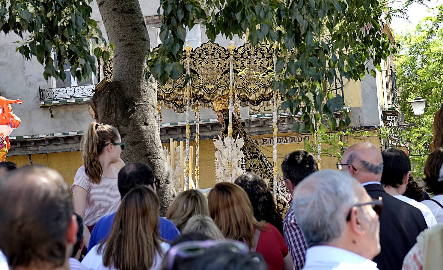 Las fotos de San Bernardo en el Miércoles Santo de la Semana Santa de Sevilla 2017